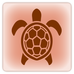 Sea Turtle